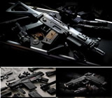 Armas e Munição em Novo Hamburgo