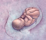 Obstetra e Obstetricia em Novo Hamburgo